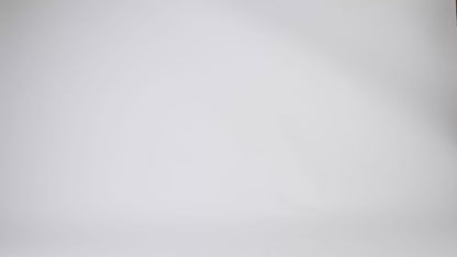 Newlane Commuter Backpack